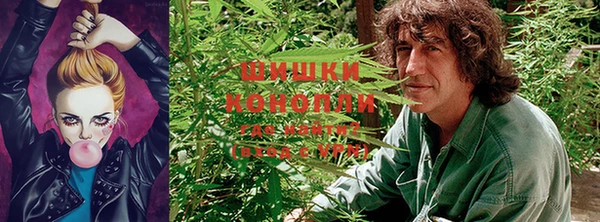 ALPHA PVP Баксан