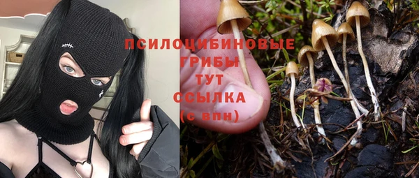 спиды Дмитриев